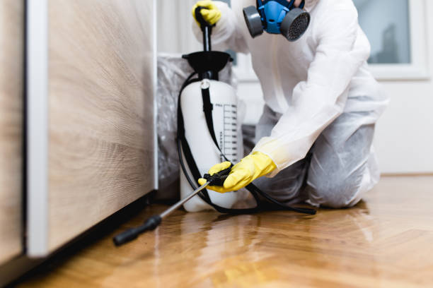 Best Ant Control Services  in Hollister, CA