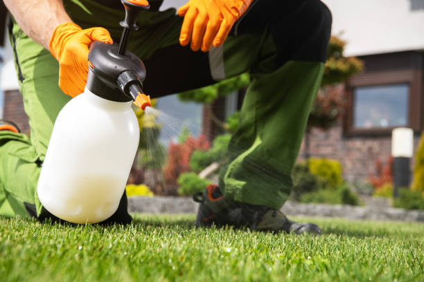 Best Pest Control Near Me  in Hollister, CA