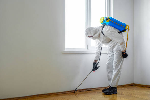 Best Commercial Pest Control Services  in Hollister, CA