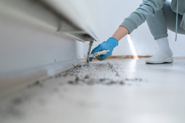 Best Affordable Pest Control Services  in Hollister, CA