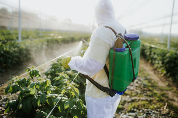Best Pest Prevention Services  in Hollister, CA
